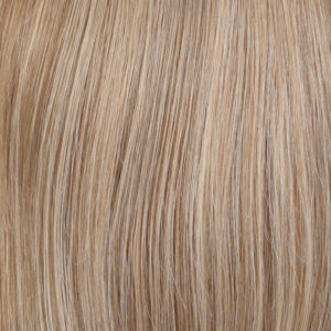 R12/26H - Light Brown with Golden Blonde Highlights on Top