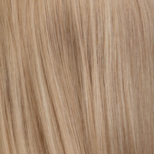 R24/18 - Golden Blonde Blended with Ash Blonde