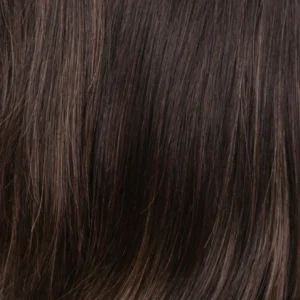 R4/14/24H - Dark Brown with Dark Blonde / Pale Golden Blonde Highlights