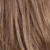 R12/26H - Light Brown with Golden Blonde Highlights on Top