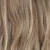 R14/26H - Dark Blonde with Golden Blonde Highlights