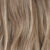 R14/26H - Dark Blonde with Golden Blonde Highlights