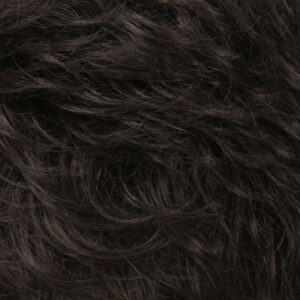 R2/4 - Darkest Brown / Dark Brown Blend