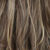 R8/26H - Golden Brown with Golden Blonde Highlights