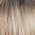 RH1488RT8 - Dark Blonde with Lightest Blonde Highlights & Golden Brown Roots