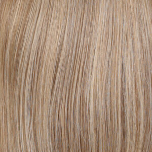 R12/26H - Light Brown with Golden Blonde Highlights on Top