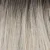 SILVERSUNRT8 - Iced Blonde Dusted with Soft Sand & Golden Brown Roots