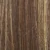 R8/26H - Golden Brown with Golden Blonde Highlights
